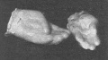 Thumbnail for version as of 00:52, 28 November 2016