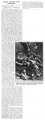 Thumbnail for version as of 18:02, 31 May 2017