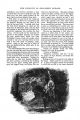Thumbnail for version as of 22:52, 11 October 2019