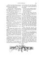 Thumbnail for version as of 17:34, 26 October 2024