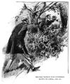 Thumbnail for version as of 11:33, 6 October 2024