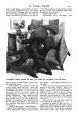Thumbnail for version as of 13:40, 30 August 2024