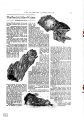 Thumbnail for version as of 16:10, 29 March 2025