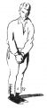 Thumbnail for version as of 23:39, 15 April 2019