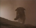 Thumbnail for version as of 12:28, 23 October 2014