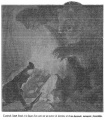 Thumbnail for version as of 00:45, 21 February 2018