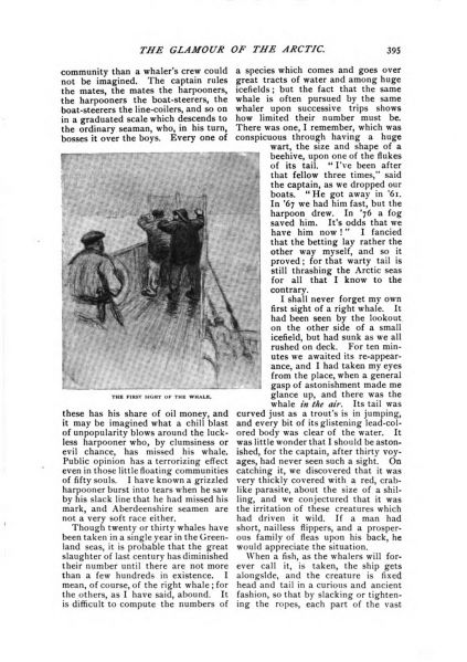 File:Mcclure-s-magazine-1894-03-the-glamour-of-the-arctic-p395.jpg