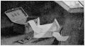 Thumbnail for version as of 23:43, 16 June 2021