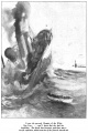 Thumbnail for version as of 17:19, 11 February 2018
