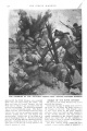 Thumbnail for version as of 20:29, 15 March 2018