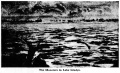 Thumbnail for version as of 17:31, 21 October 2017
