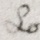 L2-Letter-sacd-1890-03-14-hemingsley-p1.jpg