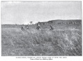Thumbnail for version as of 17:45, 10 February 2013