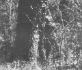 Thumbnail for version as of 00:54, 28 November 2016