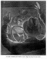Thumbnail for version as of 00:26, 7 January 2019