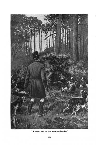 File:The-windsor-magazine-1898-07-the-king-of-the-foxes-p131.jpg