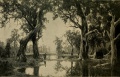 Thumbnail for version as of 23:05, 30 March 2016