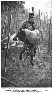 "I took the saddle, holsters and bridle... and I concealed them among some bushes."