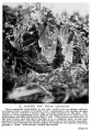 Thumbnail for version as of 00:15, 10 August 2015