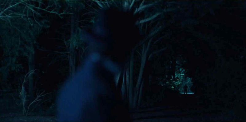 File:2023-lot-249-bbc-shadowy-other.jpg