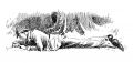 Thumbnail for version as of 14:40, 26 August 2021