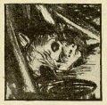 Thumbnail for version as of 12:36, 21 April 2018