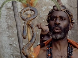 Chief Palala (Fidelis Cheza)