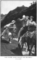 Thumbnail for version as of 21:58, 15 June 2017