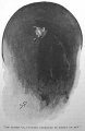 Thumbnail for version as of 13:18, 6 November 2016