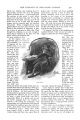 Thumbnail for version as of 00:01, 12 June 2019