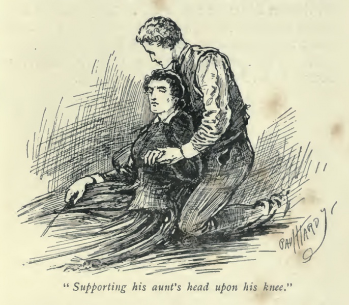 File:J-w-arrowsmith-1893-the-great-shadow-beyond-the-city-p311-illus.jpg