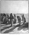 Thumbnail for version as of 21:55, 15 June 2017