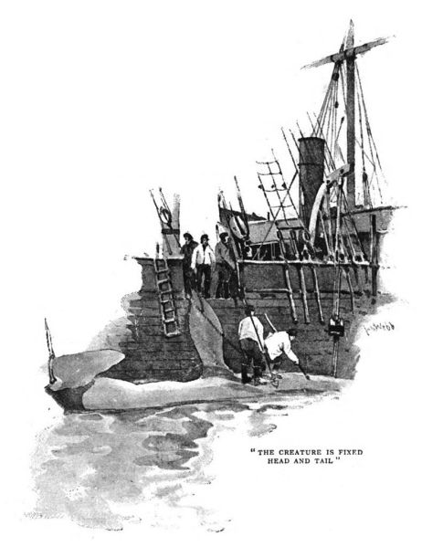 File:The-idler-1892-07-p631-the-glamour-of-the-arctic-illu2.jpg