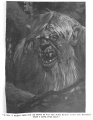 Thumbnail for version as of 13:03, 7 March 2013
