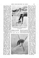 Thumbnail for version as of 22:36, 21 August 2024