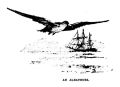 Thumbnail for version as of 10:52, 19 September 2024