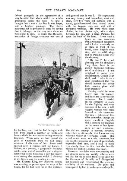 File:The-strand-magazine-1898-12-the-story-of-the-brazilian-cat-p604.jpg