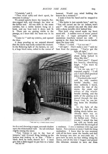 File:The-strand-magazine-1898-12-the-story-of-the-brazilian-cat-p609.jpg