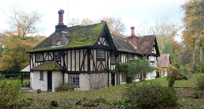 File:2022-bignell-wood-minstead3.jpg