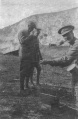 Thumbnail for version as of 12:20, 14 February 2018