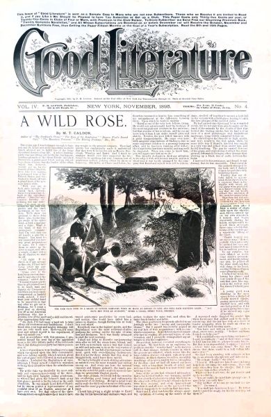 File:Good-literature-lupton-1895-11.jpg