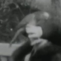 Thumbnail for version as of 18:33, 11 December 2016