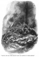 Thumbnail for version as of 00:32, 17 September 2016