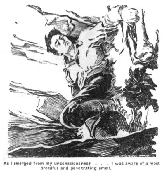 File:The-st-petersburg-times-1925-03-19-s4-p14-the-lost-world-illu.jpg