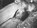 Thumbnail for version as of 17:15, 8 February 2016