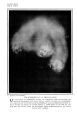 Thumbnail for version as of 18:29, 14 June 2024