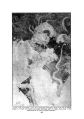 Thumbnail for version as of 14:13, 15 November 2024