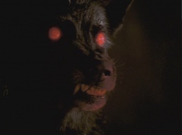 The Hound