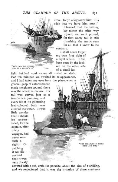 File:The-idler-1892-07-p631-the-glamour-of-the-arctic.jpg