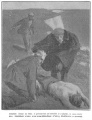Thumbnail for version as of 22:46, 21 February 2018